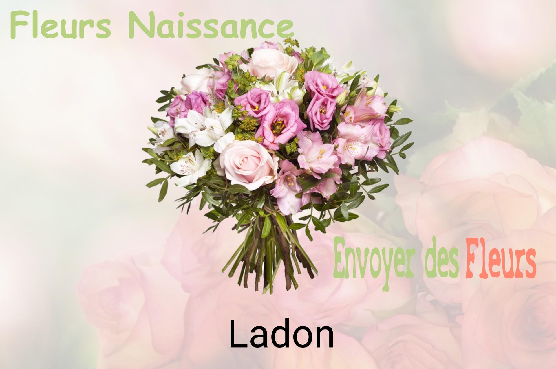 Bouquet de fleurs de naissance livré à Ladon